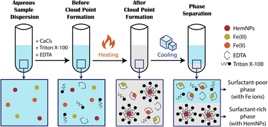 Graphical abstract: Selective separation and quantification of hematite nanoparticles and ionic iron via cloud point extraction and flame atomic absorption spectrometry