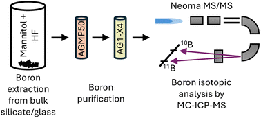 Graphical abstract: Boron isotopic analysis in bulk silicate materials using the Neoma MS/MS MC-ICP-MS
