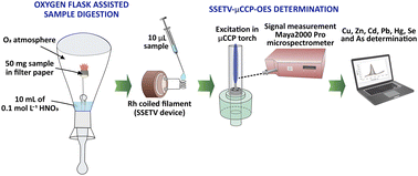 Graphical abstract: Cost-effective oxygen flask combustion and electrothermal vaporization capacitively coupled plasma microtorch optical emission spectrometry as a green and white method for multielemental determination in food