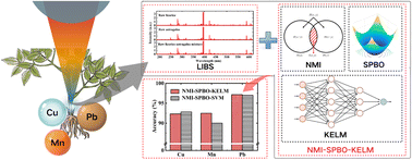 Graphical abstract: Highly accurate classification of herbals relying on toxic elements via laser-induced breakdown spectroscopy and chemometrics