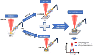 Graphical abstract: The composition detection method of electrolytes based on LIBS liquid–solid conversion and magnetic–spatial confinement