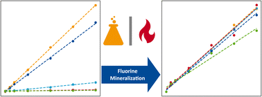 Graphical abstract: Combining fluorine-specific graphite furnace-molecular absorption spectrometry with mineralization approaches