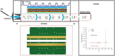 Graphical abstract: Enhanced ion utilization efficiency in IMS-TOFMS using a novel gate-free traveling wave ion guide