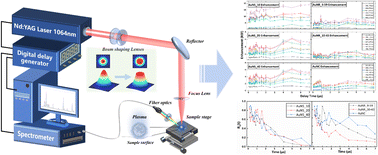 Graphical abstract: Morphology-dependent plasma behavior analysis in nanoparticle-enhanced laser-induced breakdown spectroscopy based on an intrinsic radiative enhancement framework