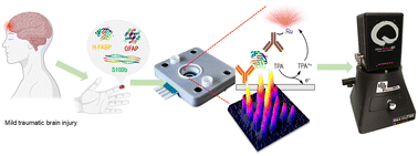 Graphical abstract: Engineering a diagnostic platform based on a spatially resolved electrochemiluminescence immunoassay for low-plex biomarker detection at point-of-care: mild traumatic brain injury and cardiac applications