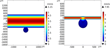 Graphical abstract: Design, fabrication, and characterization of a microbubble array microphysiological system