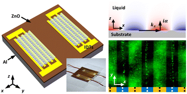Graphical abstract: Trapping nanoscale particles via quasi-Scholte mode in acoustofluidics
