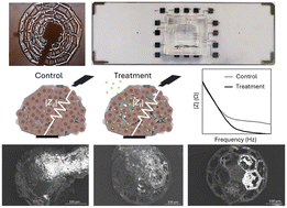 Graphical abstract: High-throughput impedance monitoring in 3D tumor cultures: a multiplex, microfluidic-free platform for drug screening