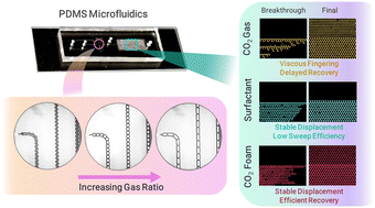 Graphical abstract: Microfluidic investigation of CO2 foam flow in a heterogeneous porous medium