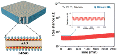 Graphical abstract: Fingertip-chip sensor based on Pd nanocluster sensitized 3D NiO nanotube arrays for real-time, selective methane detection