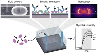 Graphical abstract: Resonating with replicability: factors shaping assay yield and variability in microfluidics-integrated silicon photonic biosensors