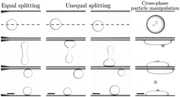 Graphical abstract: Continuous and tunable droplet splitting using standing-wave acoustofluidics