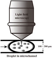 Graphical abstract: Manipulation and 3D characterization of particles and cells through integrated light field microscopy and droplet microfluidics system