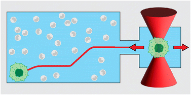 Graphical abstract: MaGIC-OT: an AI-guided optical tweezers platform for autonomous single-cell isolation in microfluidic devices