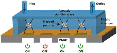 Graphical abstract: On-chip particle levitation and micromanipulation using bulk acoustic waves