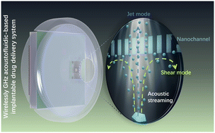 Graphical abstract: High frequency acoustofluidic based controllable drug delivery system
