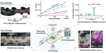 Graphical abstract: Real-rock microfluidic platform for quantifying chemical dissolution and mechanical erosion in a multiphase environment