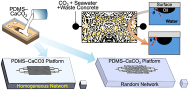 Graphical abstract: Carbonate reservoir surface-mimicking platform for CO2–seawater–concrete flooding
