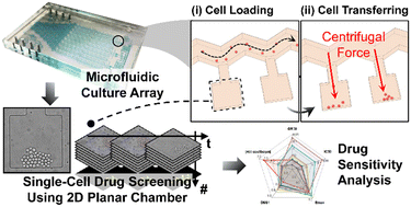 Graphical abstract: Microfluidic single-cell drug screening: toward personalized precision therapy in chronic myeloid leukemia