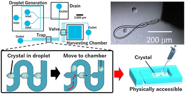 Graphical abstract: Direct access and recovery feature of solid precipitates embedded in a microfluidic device