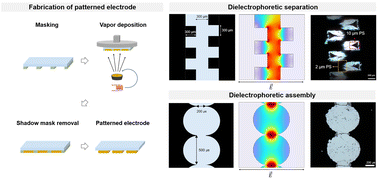 Graphical abstract: Directed dielectrophoretic assembly and separation on microelectrodes patterned via stereolithography 3D-printed shadow masks