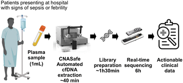 Graphical abstract: An automated and portable platform for rapid cell-free DNA isolation and its application in microbial DNA metagenomic sequencing from human blood samples