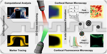 Graphical abstract: In situ imaging of fluid dynamics and nanocarrier nucleation inside microfluidic mixing devices