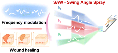 Graphical abstract: Surface acoustic wave-assisted swing-angle spray: from mechanism investigation to deposition characteristics and in vivo wound healing