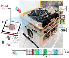 Graphical abstract: Inkube: an all-in-one solution for neuron culturing, electrophysiology, and fluidic exchange