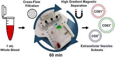 Graphical abstract: EV-Blade: an automated centrifugal-pneumatic cartridge for size- and affinity-based exosome isolation from whole blood