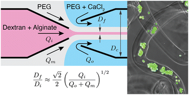 Graphical abstract: Clog-free all-aqueous microfluidic fabrication of hydrogel microfibers governed by a universal scaling law