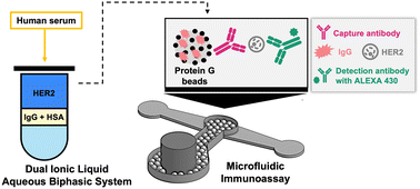 Graphical abstract: Integrated strategy for breast cancer biomarker analysis using dual ionic liquid aqueous biphasic systems and microfluidic immunoassays