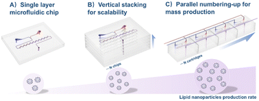 Graphical abstract: Vertical numbering-up microfluidic architecture for scalable and homogeneous lipid nanoparticle production