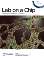 Graphical abstract: Inside front cover