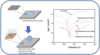 Graphical abstract: Accessing the corrosion resistance for metallic surfaces using long-chain fatty acids