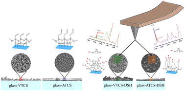 Graphical abstract: From vinyl to allyl: how a single-carbon difference alters glass surface architecture, reactivity and function