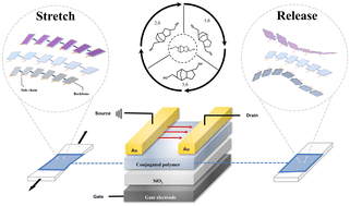 Graphical abstract: N-type semiconducting polymers with an improved isotropic mobility–stretchability stability by using structural isomers as conjugation break spacers