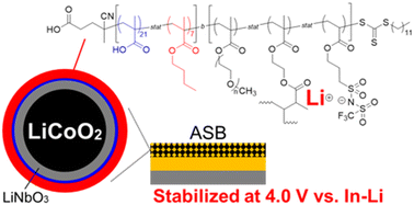 Graphical abstract: Dual modification of LiNbO3 and a lithium-conducting organic polymer at LiCoO2/Li10GeP2S12 interface and lithium intercalation properties in all-solid-state lithium-ion batteries