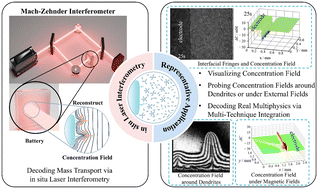 Graphical abstract: Decoding mass transport in electrochemical systems via in situ laser interferometry