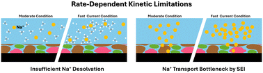 Graphical abstract: Fast-charging sodium metal anodes: challenges, degradation mechanisms, and interphase engineering strategies