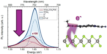 Graphical abstract: Photoluminescence quenching in WSe2 via p-doping induced by functionalized rylene dyes