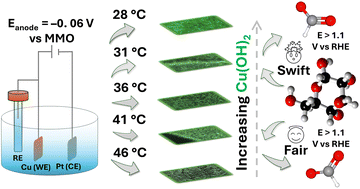 Graphical abstract: Dictating the CuO : Cu(OH)2 ratio and microstructural evolution by varying the temperature of anodization of Cu for the OER-masking GOR