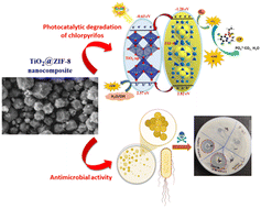 Graphical abstract: Solar light driven type-II heterojunction TiO2@ZIF-8 nanocomposite for sustainable chlorpyrifos detoxification: physicochemical insights, mineralization pathways and antibacterial performance