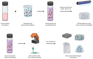 Graphical abstract: Cost-effective BioInk design via additive tuning: a cross-platform strategy for 3D bioprinting
