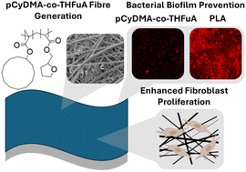 Graphical abstract: Bioinstructive polymer fibre mats to reduce bacterial pathogen colonisation