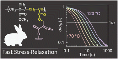 Graphical abstract: Vitrimer-like acrylic glass with fast stress relaxation by high-speed carboxy exchange reaction