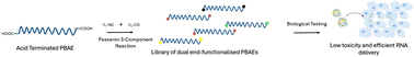Graphical abstract: Dual end-functionalisation of poly(beta-amino ester) gene delivery vectors using multicomponent chemistry