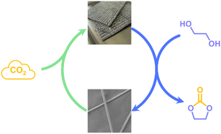 Graphical abstract: Tandem CO2 valorisation to polycarbonate vitrimer and ethylene carbonate
