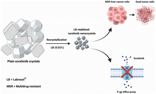 Graphical abstract: Sorafenib nanocrystals enhance bioavailability and overcome multidrug resistance in liver cancer cells: an approach based on P-gp inhibition strategy