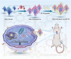Graphical abstract: Biomineralized metal–organic frameworks targeting collagen for suppression of myocardial fibrosis and enhancement of cardiac function